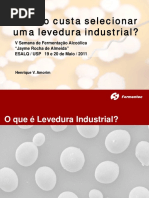 Levedura Industrial