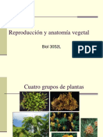 Reproducción y anatomía vegetal