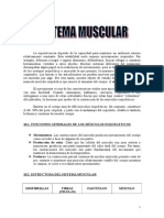 Manual de Anatomia Muscular 