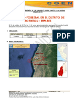 TUMBES - Contramirante Villar - Zorritos (Pedregal) Incendio Forestal (Reporte Complementario 01)