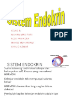 Jaringan Sist. Endokrin 4