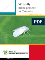 Whitefly Management in Tomato South Asia