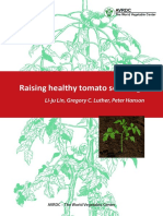 Tomato Seedlings Web