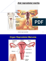 Anatomi Dan Fungsi Organ Reproduksi 1