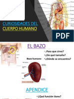 Curiosidades del cuerpo