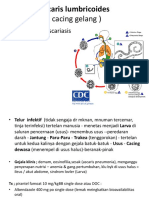 Praktikum 1 Nematoda Usus