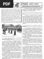 Geografia - Pré-Vestibular Impacto - Organização do Espaço Indígena II