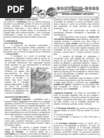 Geografia - Pré-Vestibular Impacto - Sistema Econômico Capitalista I