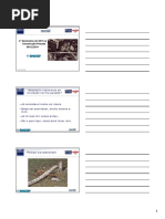 workshop capital safety - 2011