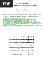 Vitiello - Io e Il Mio Doppio. Il Modello Quantistico Dissipativo Del Cervello