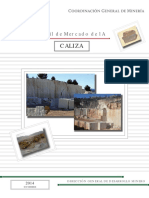 PM Caliza 2014 PDF