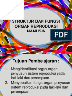 Struktur Dan Fungsi Organ Repro
