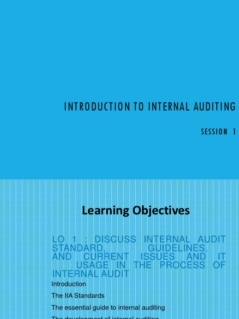 Internal Audit Basics Pdf | Internal Audit Operational Procedure Pdf ...