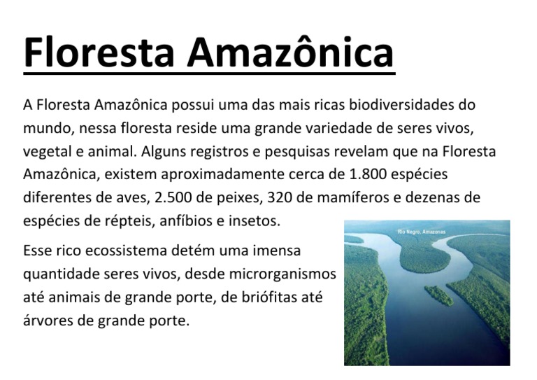 Floresta Amazonica | Floresta Amazônica | Organismos | Free 30-day ...