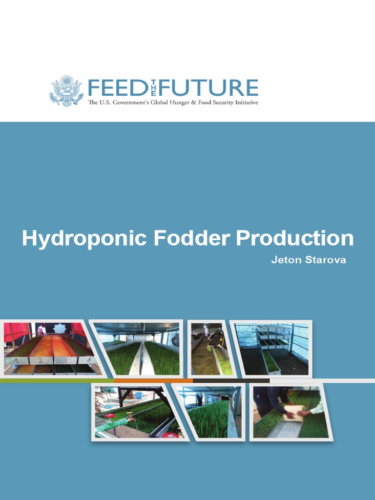 Hydroponic Fodder Production Insights | PDF | Animal Feed | Fodder
