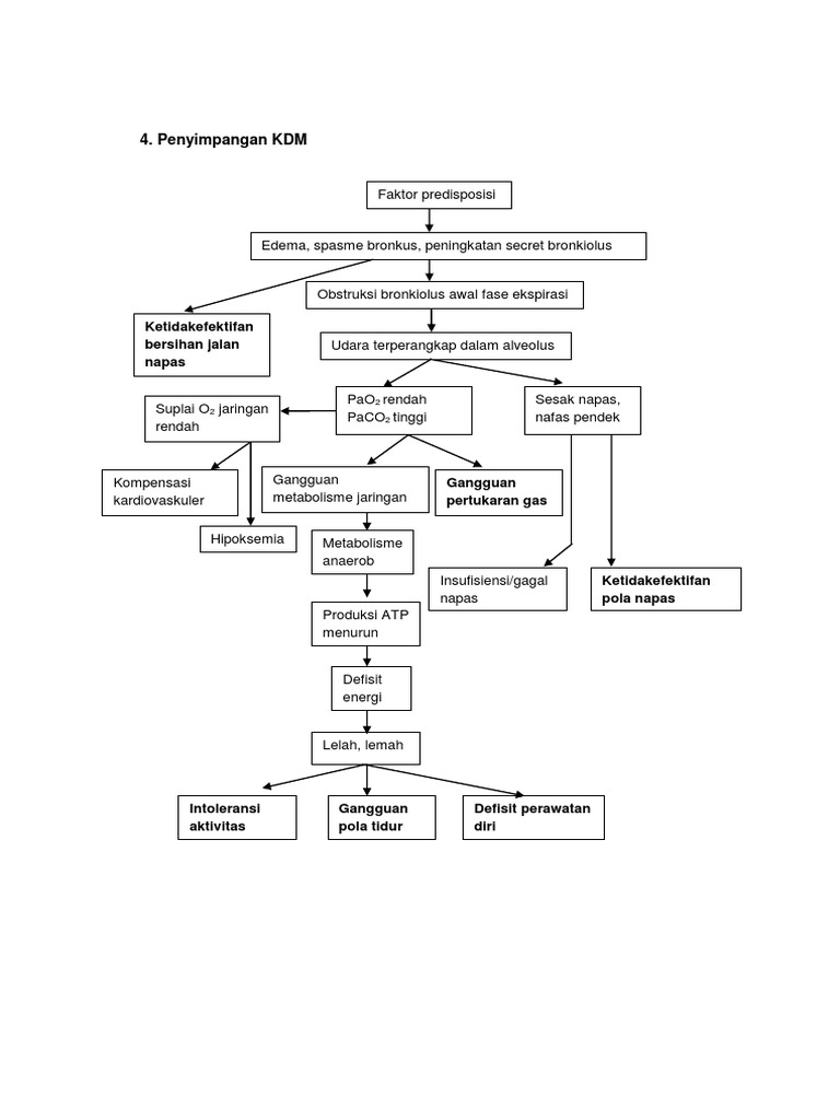 Penyimpangan KDM dan Oksigenasi | PDF