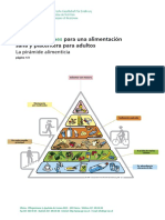 La Piramide Alimenticia
