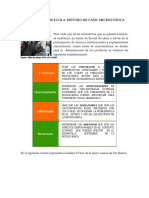 Análisis Foda Microcuenca Del Rio Blanco PDF