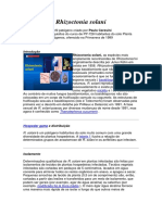 Rhizoctonia solani: Patógeno do solo que causa damping-off