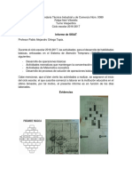 Informe de SISAT PDF