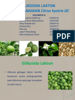 Glikosida Lakton