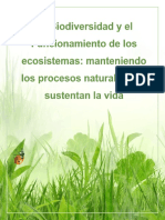 Reflexión Tema Biodiversidad