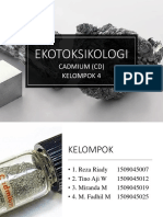 Ekotok CD