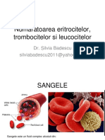 Numaratoarea Eritrocitelor, Trombocitelor Si Leucocitelor - LP
