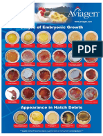 Embryonic Growth Poster En