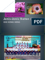 Jenis-Jenis Ikatan (Knots)