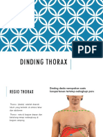 205990320 Dinding Thorax Ppt