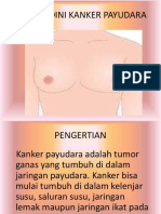 Deteksi Kanker Payudara 3