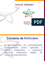 Convenio Rotherdam.ppt