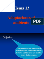 Adaptaciones Al Ambiente