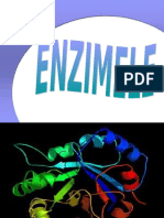 Enzime