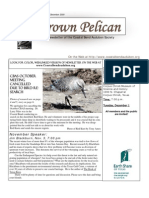 November-December 2009 Brown Pelican Newsletter Coastal Bend Audubon Society