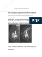 Pemeriksaan Radiologis