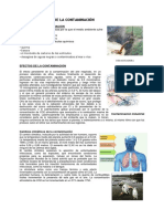 Causas y Efectos de La Contaminación