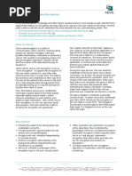 flyer - End-to-End Encryption - EN.pdf