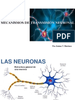 Neurociencia. Mecanismos de Transmisión Neuronal. Dra. Iraima V  Martínez M