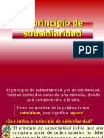 1 Principio de Subsidiariedad