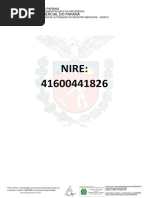 Pesquisa de Nire-176837868