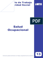 13_Salud-Ocupacional-Ind.pdf