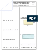 Resumo e Trabalho Polinomios