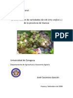 Caracterización de la diversidad varietal de vid en Huesca