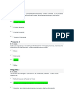 Examen Parcial Neurofisiología