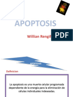 Apoptosis