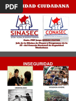 Seguridad Ciudadana