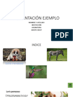 Plantilla Ejercicio Acciones y Tipos de Diapositivas