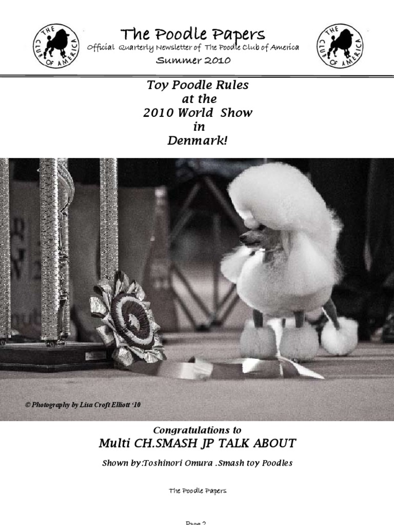 wissfire toy poodles